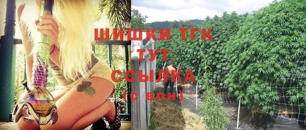 твердый Богородск