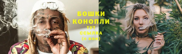 твердый Богородск