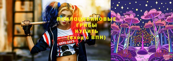 твердый Богородск