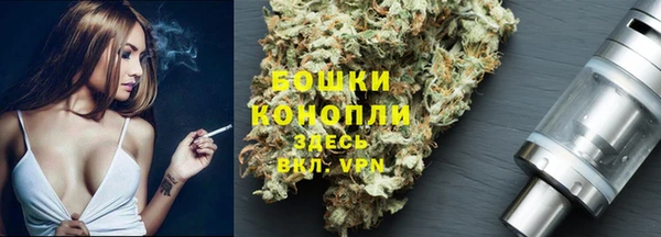 стаф Богородицк